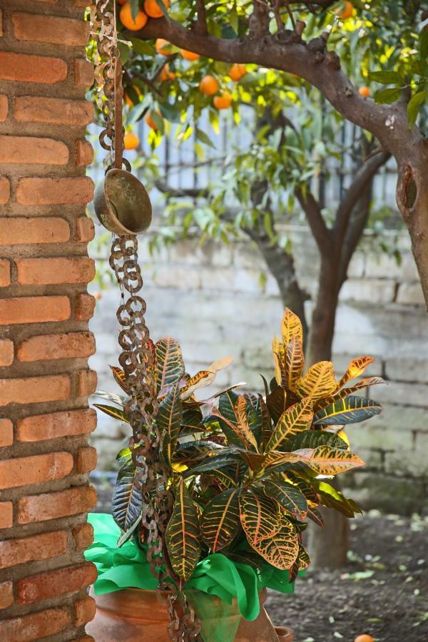 Bed and Breakfast In The Garden Ottaviano Exterior foto