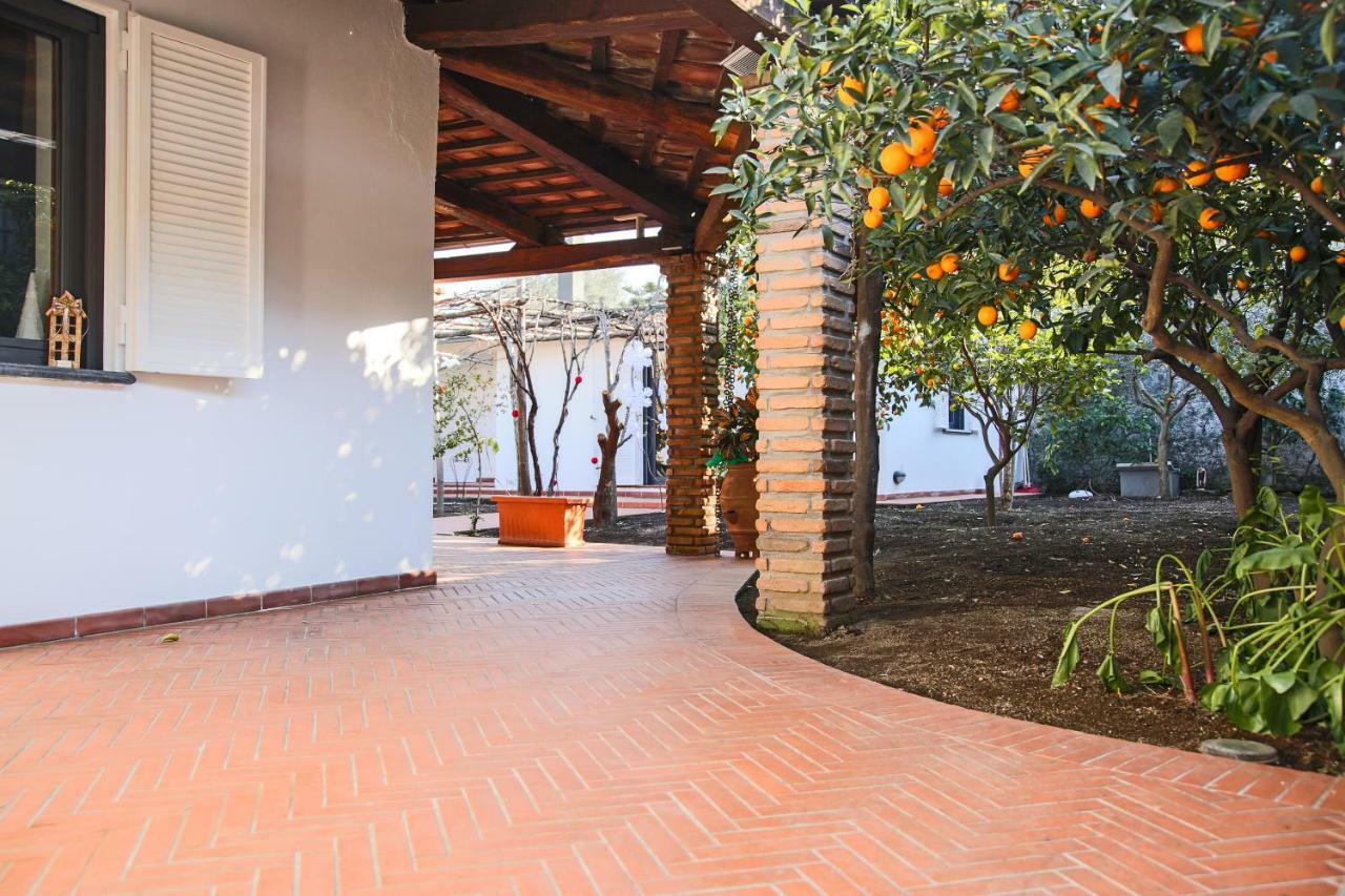 Bed and Breakfast In The Garden Ottaviano Exterior foto