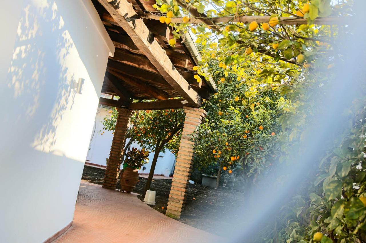 Bed and Breakfast In The Garden Ottaviano Exterior foto